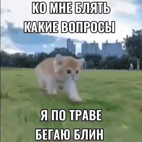 moyunni